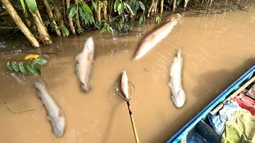 Thứ nào chịu nổi cá khủng rồi,, kích cá miền tây, kênh htgc tập 253