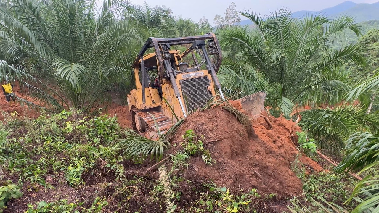 D6R XL Bulldozer as an Investment for Plantation Roads