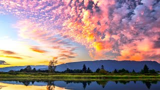 Soothing Zen Music | Remove Negative Thoughts | Music for Rejuvenation screenshot 4