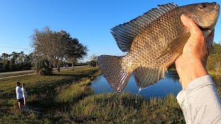 Cast Netting Fresh Water Invasive Species | Catch Clean and Cook