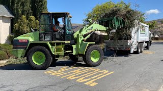 Green Waste Collection in San Jose