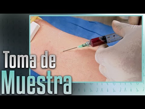 Video: ¿Se debe insertar la aguja durante la venopunción de rutina?