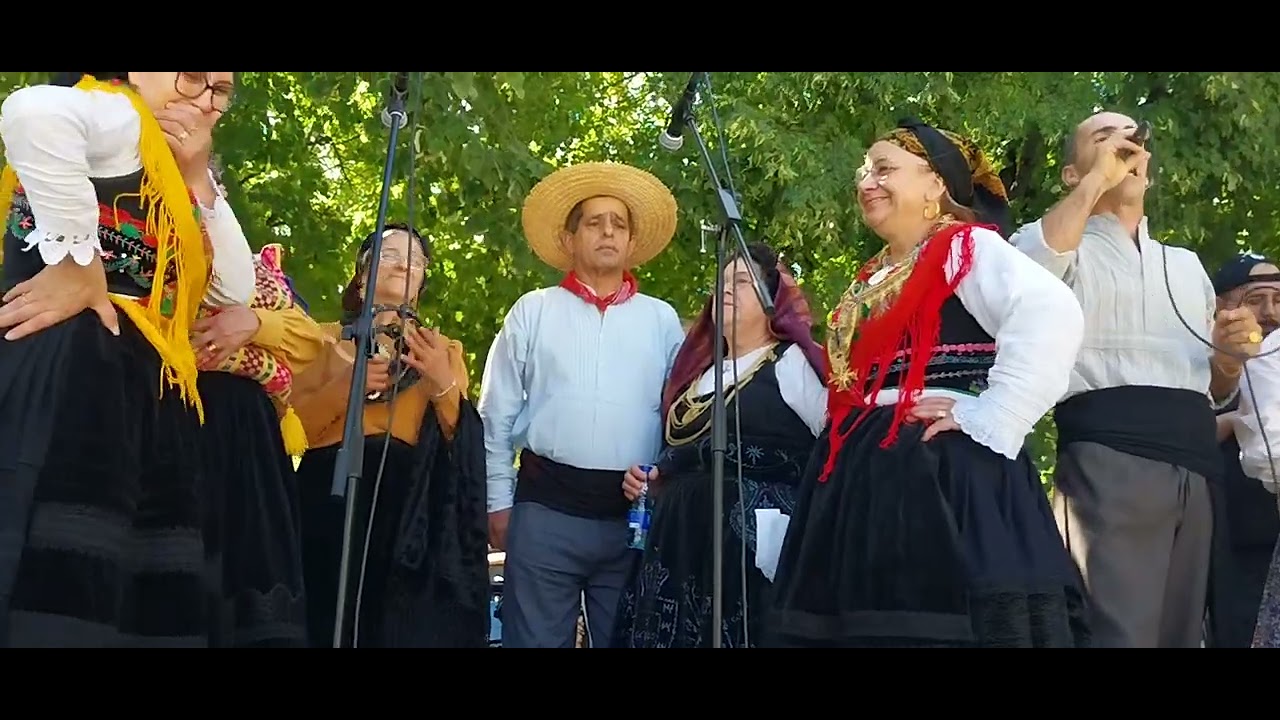 RANCHO ESTRELAS DO MINHO DE VAULX EN VELIN NA FESTA EM TREVOUX