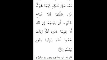 سوره مبارکه بقره ادامه آیه ۲۳۰بامعنی گویا گوارای وجودتان#قرآن #قران_كريم #قران #قرآن_كريم #youtube