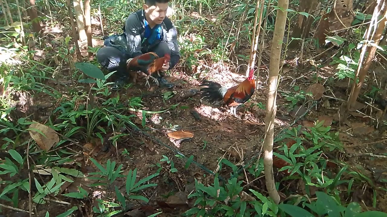 Pangalawang labas ni butsoy may hule na ngayong march 24 2025