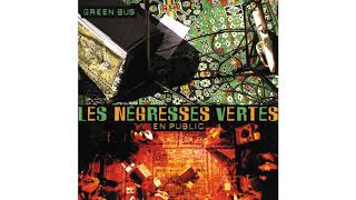 Les Négresses Vertes - L&#39;homme des marais (Official Live Audio)