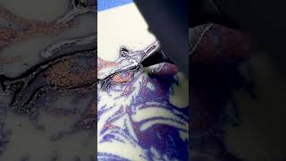 Dragon #tattoo #practice #jetblacktattoos screenshot 4