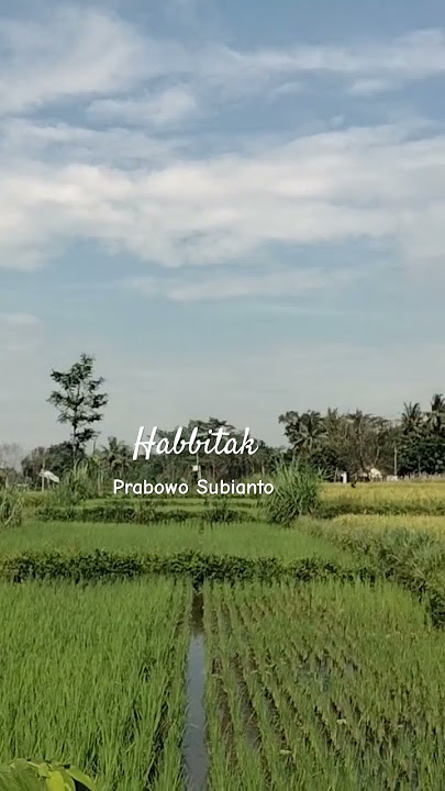 Habibtak - Prabowo Subianto#cover #shorts #nostalgia #lagu #qasidah@Radiojaddoels