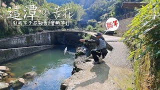 開釣,,竿子就GG..中大苦花又斷竿，落屎..搞得我好亂!...這裡免潦溪..釣魚不沾鍋，這潭苦花超級多，各憑本事囉!