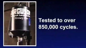 Jerguson Level Switch - The World