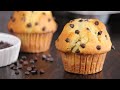 Chocolate chip muffins  bakery style muffins  how tasty channel