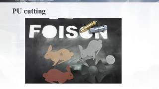 Foison vinyl cutters
