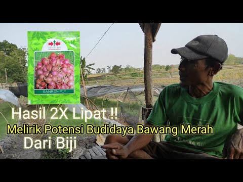 Video: Memulai Benih di Zona 3 - Informasi Waktu Tanam Bibit Untuk Kebun Zona 3