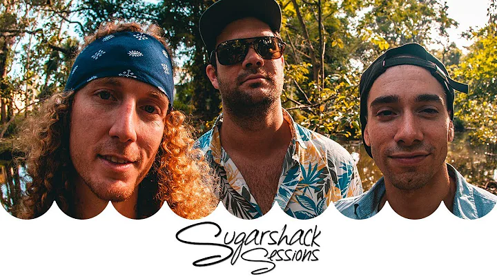 Honey Hounds -  Spinach (Live Music) | Sugarshack Sessions