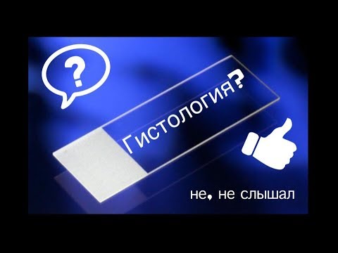 Что же такое Гистология?