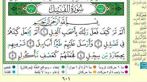 سورة الفيل مكرره ساعة كامله