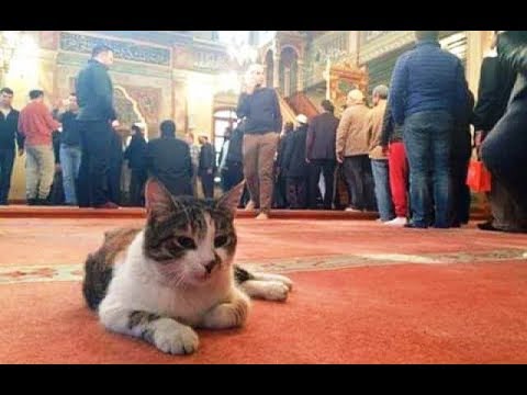 Man Opens Mosque