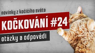 KOČKOVÁNÍ #24 - Novinky ze světa a vaše dotazy