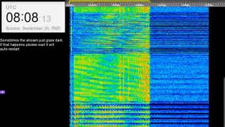 The Buzzer/UVB-76(4625Khz) September 20th 2020 08:07UTC Voice message