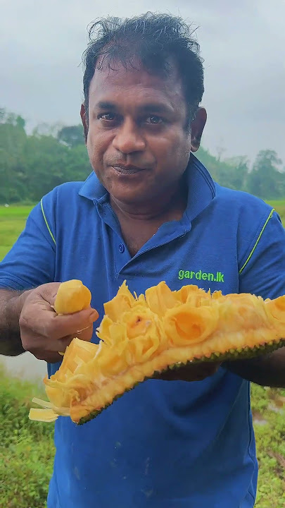 jack fruit seeds