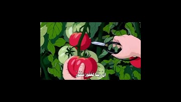 صّوتةة يفوز 🤍، #قرآن_كريم #سورة_فاطر #محمود_خليل_الحصري #اترك_اثرا_طيبا_بذكر_الله