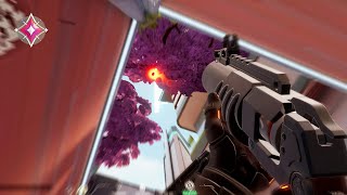 Valorant But Only Mollying...