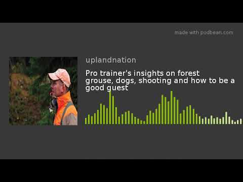 Pro trainer's insights on forest grouse, dogs, shooting and how to be a good guest