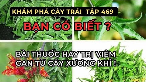 #469Bài thuốc hay trị viêm gan từ cây xương khỉ #bts #tintuc #cây #review #news 