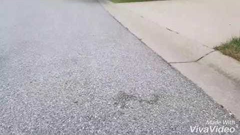 Losi 5ive with Gizmo 30.5 Zenoah and Bart pipe