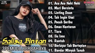 Aca Aca Nehi Nehi ( Dadido ) Sallsa Bintan Feat 3Pemuda Berbahaya Full Album Musik Mp3