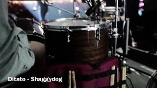 Ditato  Shaggydog Yoyojog Drumcam