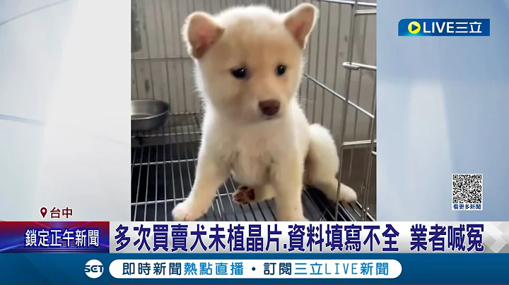 "柴柴"这么可爱怎么可以弃养! 动物收容所暴增"35只柴犬"业者违反动保法遭撤销执照.开罚19万元 后续签署不续养 未来将开放民众领养│【萌宠54来当家】20230623│三立新闻台 - 天天要闻