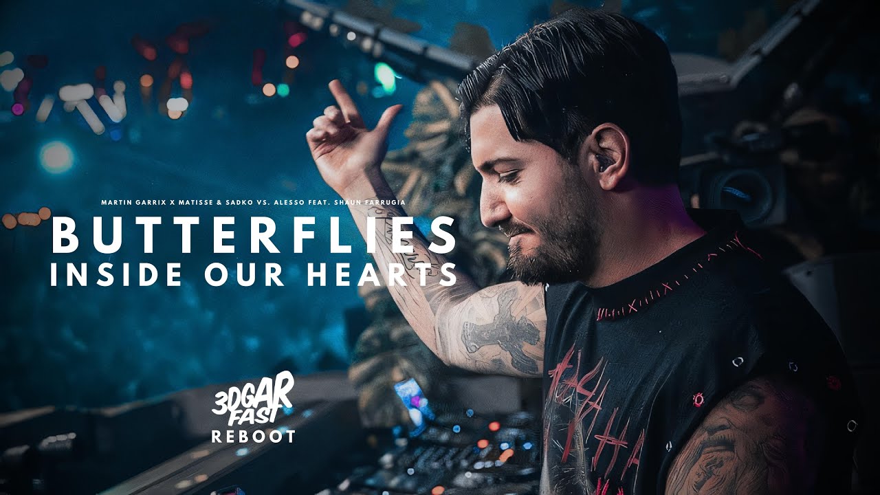 Butterflies x Inside Our Hearts (ALESSO MASHUP) - Martin Garrix, Matisse & Sadko x Alesso