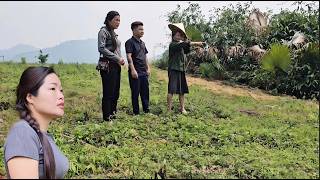 Thanks to that man's help, Hong found a suitable plot of land to build a house.