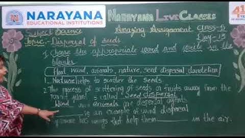 METROS CLASS V SCIENCE ASSIGNMENT KEY DAY 13