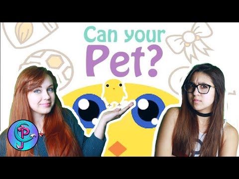 HOW DID THIS HAPPEN?!| Can Your Pet!