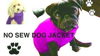 NO SEW DOG JACKET  DIY Dog clothes  a tutorial by Cooking For Dogs
