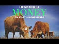 HOW MUCH MONEY do you need TO START HOMESTEADING?