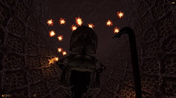 Half-Life: Source Nihilanth Gameplay Walkthrough (No Commentary)