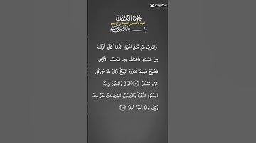 #قرآن #قران_كريم #اَلَذِّكْرٌ_الحَكِيمٌ #اكسبلور #viralvideo سورة الكهف