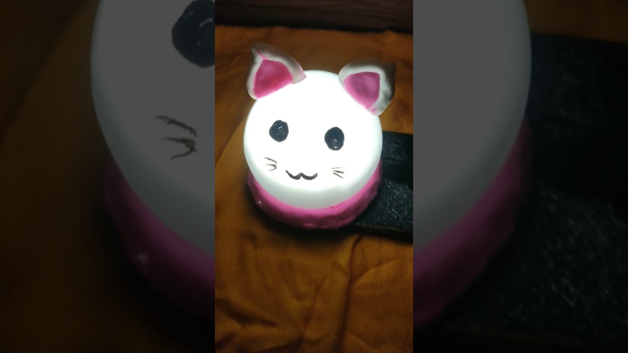 I Made the Cutest Cat Squishy Ever😻rtAndCraft 