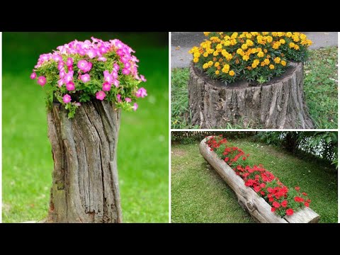 Video: 7 Ideas Para Decorar Tu Jardín Con Un Tocón De árbol Normal