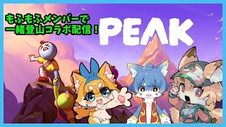 【楽しく登山】もふもふメンバーで一緒に遭難（？）＆山登り配信🐾【紙家レイス】