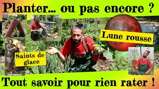 Planter... ou pas encore ? Tout savoir pour planter au bon moment ! Saints de glace, lune rousse...