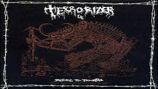 Terrorizer - Before the Downfall (2014)
