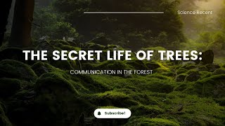 The Secret Life Of Trees: Communication in the Forest