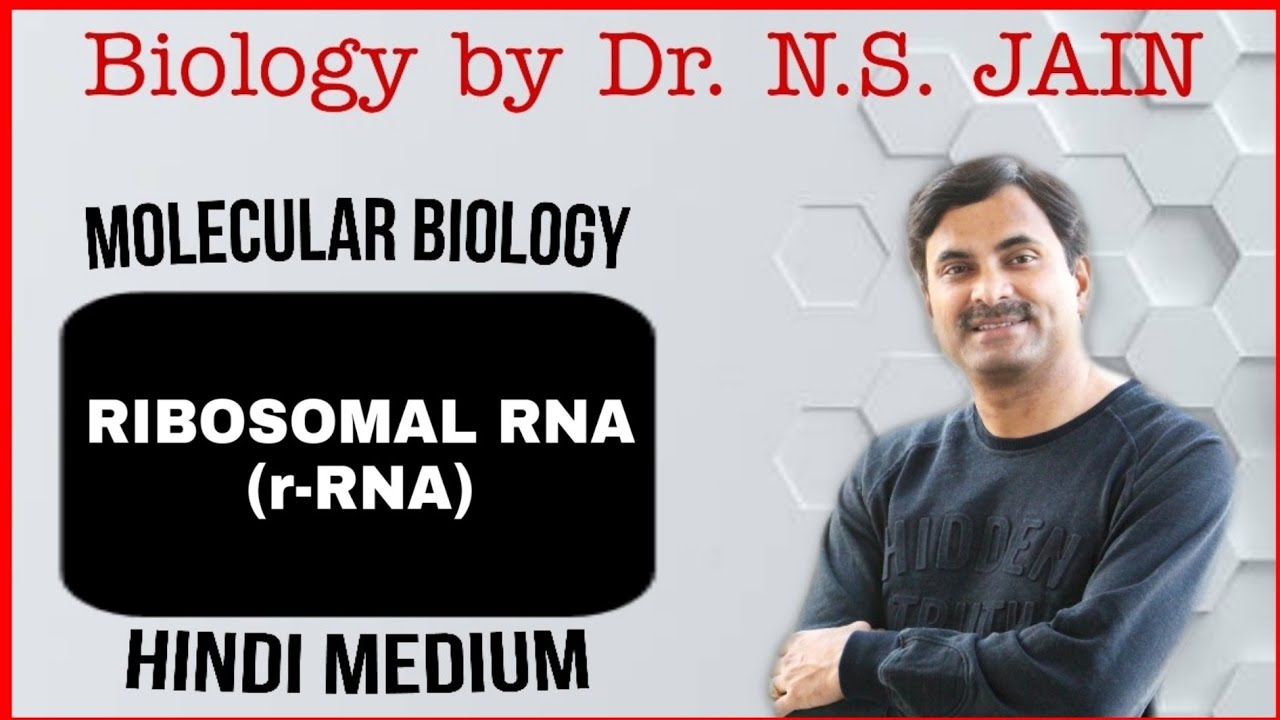 Ribosomal RNA (r-RNA) Molecular Biology | Hindi Medium - YouTube