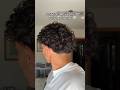 The Best Curly Hair Routine Shorts Curlyhair Curls Curly Menshair Hair Hairtutorial mp3