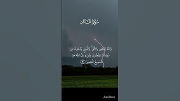 تلاوة خاشعة ومؤثرة للشيخ ياسر الدوسري #اكسبلور #quran #قرآن