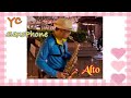 Sax Cover 黃乙玲 愛到才知痛 降E @YC_Sax